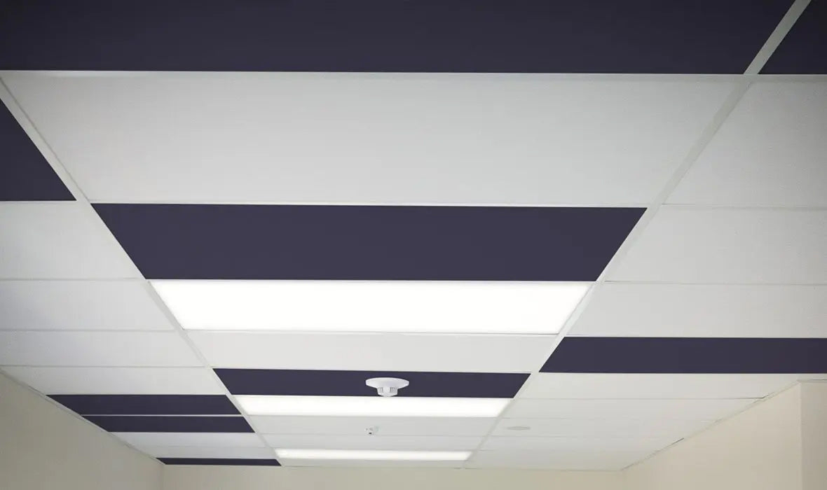 Accent Ceiling Tiles by Autex™